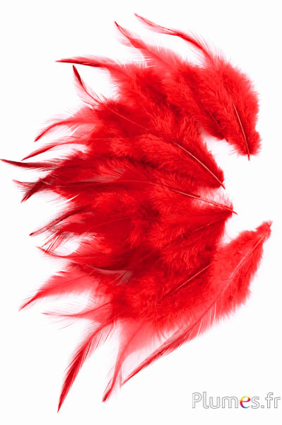 Haan - 8-12 cm - rood